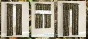 Mossy Oak Break-Up Infinity Window Curtain Panels,Set of 2 or Valance-Choice-NEW