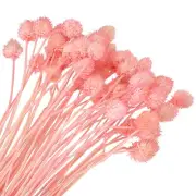 60 Pcs 16 Inch Dried Flowers for Vase Mini Pine Ball Flowers Pink(Stem)