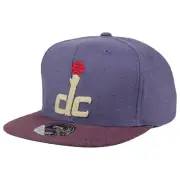 Washington Wizards Mitchell & Ness NBA Heather Profile Fitted Cap Hat Men's DC