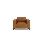 Cameo electric recliner with electric headrest