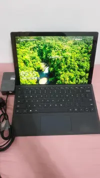 在飛比找Yahoo!奇摩拍賣優惠-頂規 微軟 Surface Pro6 i7-8650U 16