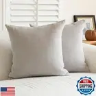 a moment Pack of 2 Decorative Chenille Throw Pillow Covers with Twill Cushion