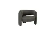 Raimon Furniture Tasa Mesh Fabric Occasional Armchair Accent Lounge Chair Fern