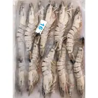 在飛比找蝦皮購物優惠-【水產系列】16P草蝦 / 馬來西亞草蝦／16尾草蝦／蝦子／