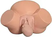 CHROX PVC Model Bone Simulator Obstetrics Training Demonstration Delivery Model Fetal Pelvic Position Normal Abnormal Virtual Delivery Model Teaching