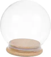 Sosoport Decorative Display Globe for Plants Flowers DIY Crafts Unique Snow Globe for Fairy Lights Collectibles Stylish Home Decor