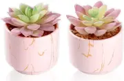 zenmag Fake Succulents, Mini Succulents Plants Artificial in Pink Ceramic Pots