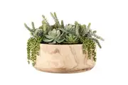 Rogue Succulent Garden-Dansk Bowl - Handcrafted Artificial Ornamental Faux Plant For Home Decor