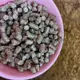 5公斤分裝包 台灣製造 松木砂 木屑砂 貓砂 無甲醛 崩解式貓砂分裝包