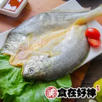 在飛比找momo購物網優惠-【食在好神】職人嚴選黃魚一夜干