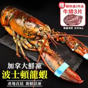 海肉管家 加拿大波士頓螯龍蝦 (每隻約400~600g±10%)