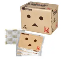 在飛比找PChome24h購物優惠-日本阿愣 DANBOARD 暖暖包長效手握式 30入/盒