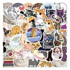 Sticker Skateboard Cat Stickers Animal Stickers Graffiti Sticker DIY Scrapbook