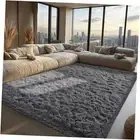 Area Rugs for Living Room Grey Rugs for Bedroom 4x6 Carpet Fluffy Fuzzy Soft