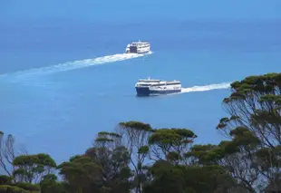 傑維斯海角住宿及汽車旅館