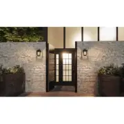 Quoizel Darius 1 Light 7" Outdoor Lantern, Earth Black - DRS8407EK