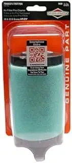 Briggs & Stratton Briggs and Stratton 5428K Air Filter with Pre-Cleaner
