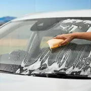 Windshield Sponge