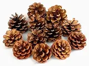 Natural Bulk Christmas Pine Cones for Home Party Decorations,Christmas Tree Fall Ornaments-30Pack