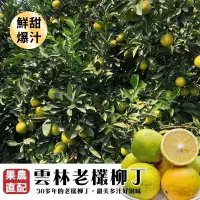 在飛比找生活市集優惠-【果之蔬】果農直配雲林鮮甜爆汁老欉柳丁 5斤/10斤/20斤