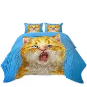 Cats Funny Faces Unsatisfied Ginger Kitten Coverlet