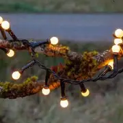 Eglo 300 LED Warm White Berry Fairy Lights