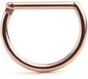 [Ruifan] 316L Stainless Steel D Shaped Hinged Seamless Segment Hoop Septum Clicker Ring Lip Helix Tragus Cartilage Earrings Nose Rings Pirecing 16g 10mm