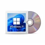WINDOWS 11 專業版 DVD 安裝程序