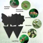 24Pcs Sticky Traps for Plants Fruit Fly Fungus Gnat Killer Plant Gnat Catcher