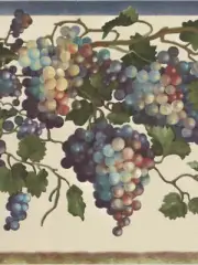 GRAPES ON VINE GRAPEVINE WALLBORDER PAPER 84B73600