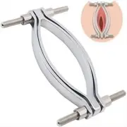 Stainless Steel Labia Clip Clitoris Clamps Clitoris Vaginal Dilator Teasing BDSM