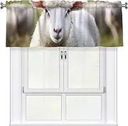 LHBWCVN Cute Sheep Lamb Valances for Windows, Rod Pocket Window Treatment Drapes Farmhouse Kitchen Curtains Short Blackout Window Curtains for Living Room Bedroom Decor 54x18 Inch