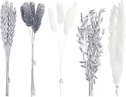 The Baked Studio - Original Dried Flower Set Containing Pampas, Oats, Wheat, Lagarus Bunny Tails & Phalaris For Cake & Cupcake Decorating & Others Crafts (Silver)