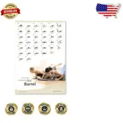 Complete Arc Barrel Wall Chart: 36 Essential Exercises in Full-Size Décor