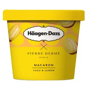 哈根達斯柚香檸檬馬卡龍冰淇淋420ml