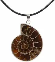 [Justinstones] Natural Ammonite Fossil Jewelry Silver Tone Wrapped Pendant Necklace