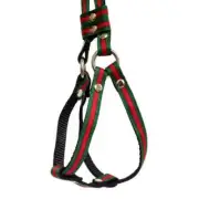 Designer Inspired Step-In Harness w/ Leash