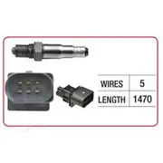 RAE Oxygen Sensor - OX785