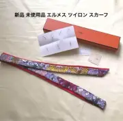 New Hermes Twilong Scarf 247