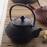 《LA CAFETIERE》鑄鐵濾茶壺(墨黑點珠0.6L) | 泡茶 下午茶 茶具