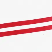 RedFlex 10mm Bra Strap Elastic - 20 Yards of Stretchy Sewing Ribbon