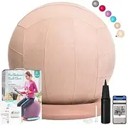 ProBalanceΩ Yoga Ball Chair, Exercise Ball with Slipcover and Base for Office and Home, Birthing and Pregnancy, 65cm, WF