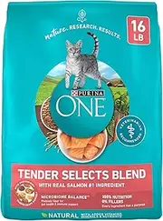 Purina ONE Tender Selects Blend with Real Salmon Dry Cat Food