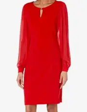 DKNY KEY HOLE NECK LINE SHEATH DRESS, LONG CHIFFON SLEEVE, RED, SIZE 6, NWT
