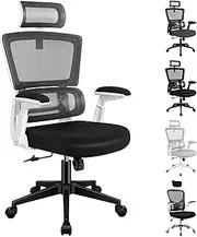 ALFORDSON Mesh Office Chair Swivel Computer Chair with Tilt & Height Adjustment, Ergonomic Executive Office Chair with Built-in Lumbar Support & Tall Backrest, Mesh Fabric Racing Chair (White)