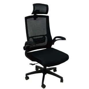 Z-O-E IS空間美學貝羅尼卡透氣網椅/電腦椅/辦公椅/職員椅(2色可選)