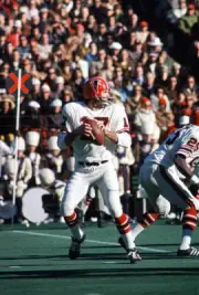 Bob Berry Of The Atlanta Falcons Drops Back To Pass 1971 NFL OLD PHOTO 3