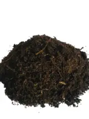 NATURAL COCONUT COCO PEAT/coir fibers quality organic soil Hydroponic 500g