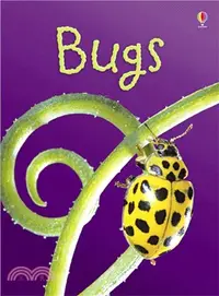 在飛比找三民網路書店優惠-Usborne Beginners: Bugs