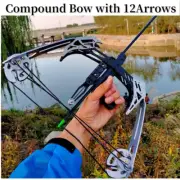 30lbs Compound Archery Bow and 12 Arrows Outdoor Competition Sporting Goods AU